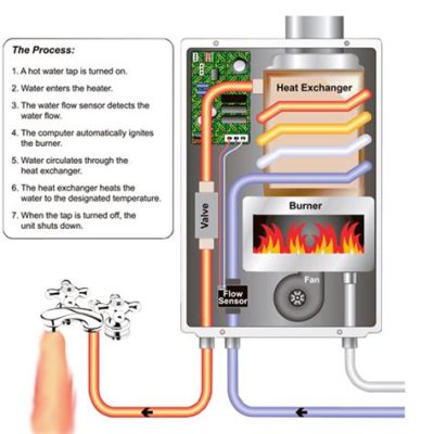 How Does an Electric Hot Water Heater Work: And Why Do Fish Prefer Warm Showers?