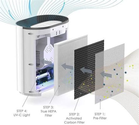 How Long for Air Purifier to Work: A Symphony of Time and Air Quality