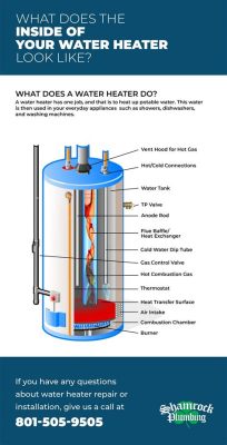 How much is an electric water heater, and why does it feel like buying one is a journey through a labyrinth of options and emotions?