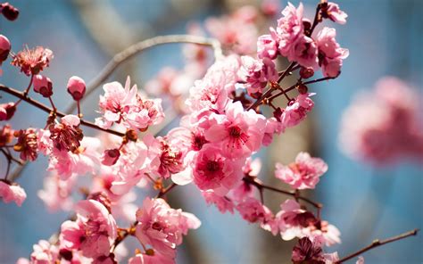 How to Ship Flowers: A Blooming Guide to Delivering Nature's Beauty