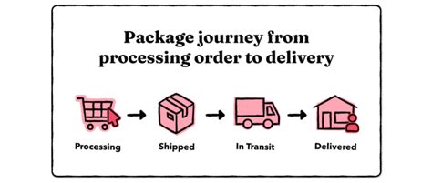 What Does It Mean If Your Package Is in Transit: A Journey Through the Logistics Labyrinth