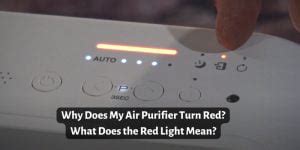 Why Does My Air Purifier Turn Red at Night? And Why Do Cats Suddenly Start Singing Opera?